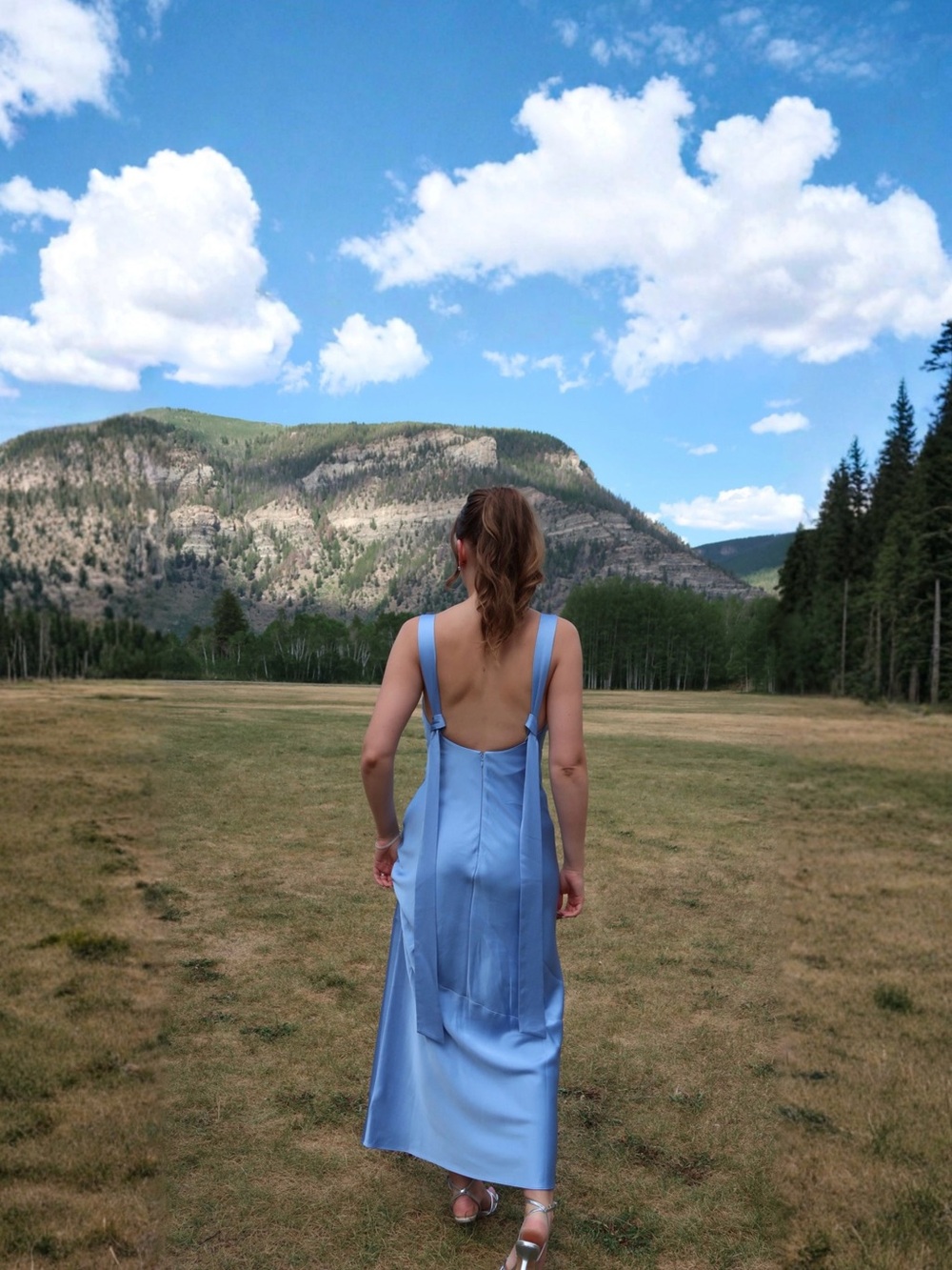 Anthropologie Significant Other Backless Blue Formal Dress with Tie Straps